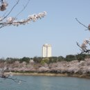 (주)신세계영랑호리조트 네이버블로그