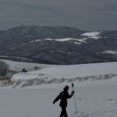 힐스토리1 | 강원도 평창 셀프 웨딩스냅 촬영후기ㅣ삼양라운드힐