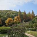 원적산공원 이미지