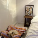 스테이 두리 이미지