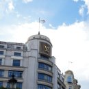 콩이파리 이미지