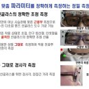 아이엠보보 이미지