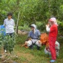 천연농장 이미지