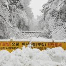 가동옛길 이미지