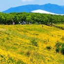 '26. 05. 29(금) 출석부(6월의 망종을 향하여...) 이미지