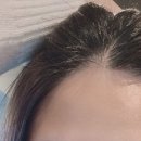 강남에스라인 이미지