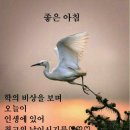 멋진 하루 이미지