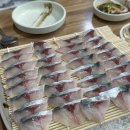 삼공주회센터 | 삼공주회센터 / 너무 맛있었던 제주도 화북 고등어 회 도민맛집