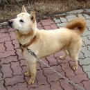 공도4로 이미지