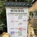 고창농원 | 설 연휴 아이와 가기 좋은 곳. 고창 상하농원 체험 후기