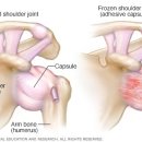 S&C 트레이닝 센터 이미지