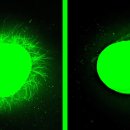 the Fitness LAB 이미지