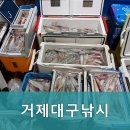 거제대구낚시