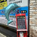윔지컬팜