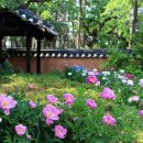 가족과 함께하는 문화체험(5월) 이미지