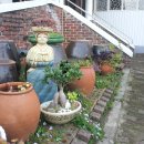 백선바오로의집 이미지