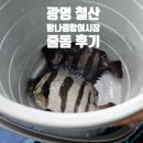 어시장 | 광명 철산역 | 내돈내산 광명횟집 탐나종합어시장 줄돔 후기 인천종합어시장과 비교
