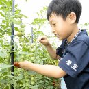 김상경 농장 이미지