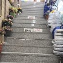 꼬끼오 보산점 이미지