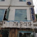 지중해소나무 이미지
