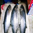 영심상회 이미지