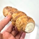 치키차카초코안양