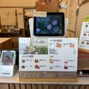 복호두 비전점 | 평택비전동호두과자 복호두비전점 봄 신메뉴 쑥호두과자 후기 (답례품 간식)