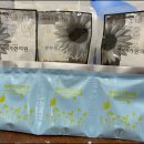 해바라기한의원 이미지