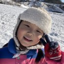 빅파인트리하우스 이미지