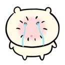 포커스하이 이미지