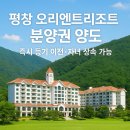 오리엔트펜션 | [양도] 평창 오리엔트 리조트 콘도 분양권(36평 A타입) – 즉시 등기 이전·자녀 상속 가능