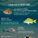 썬스파(해양) 이미지