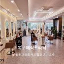 보보스헤어클리닉