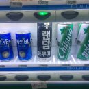 성산면사무소 버스정류장 | [강릉 여행] 어느덧 관광객이 되어버린 강릉 촌년 이야기