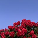 송강충전소 이미지