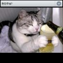 딱한잔만더 이미지