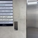 나만의 퍼스널 컬러 | [수내역] 모모퍼스널컬러 &amp; 바디 타입 자연채광 컨설팅 후기!! + 나만의 스타일링