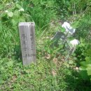 피나무골 소공원 이미지