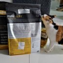 펫 로드스타 컴퍼니 이미지