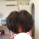 인더문헤어 이미지