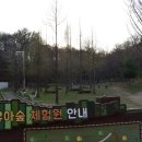 이천시 유아숲체험원 이미지
