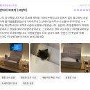 을-050 | 부산 고양이 장례 2곳 추천 | 비용, 절차, 후기 완벽 총정리