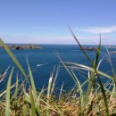 고산수월봉 이미지