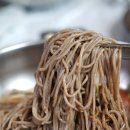 꽃향기 | 양양 메밀막국수 맛집 메밀꽃향기 재방문 후기