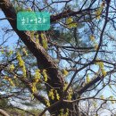 간전논공단지 계족산 광대바위 식겁하는내리막 국사봉 터골재 매재갈림 천황봉 비슷한 천왕봉 돌탑봉 천황치 중산교회 이미지