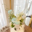 사파동335 이미지