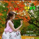 꼬끼요