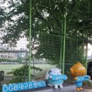 [K리그_대구FC 대팍직관]오늘이 가장 밑바닥이었기를...(25.05.27. vs 전북현대모터스 )