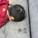 한걸음더 재활한방 동물병원 이미지