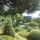 삼화관광농원 이미지